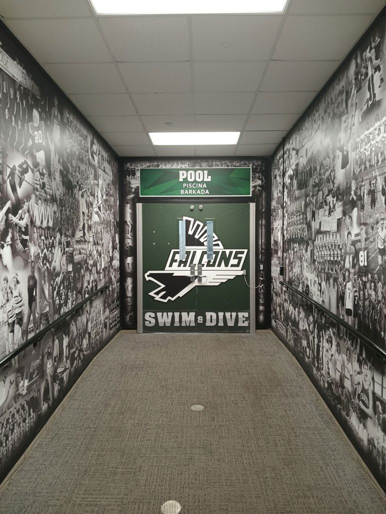 Wall Mural and Door Vinyl Graphics at Faribault School